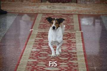 Misa y procesión religiosa en Cazadores/Francisco Javier Santana.